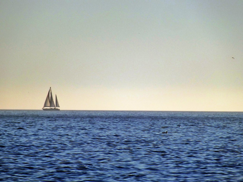 Sunset Sailing in Saugatuck