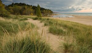 Why Summer in Saugatuck Feels Like a Slice of Heaven