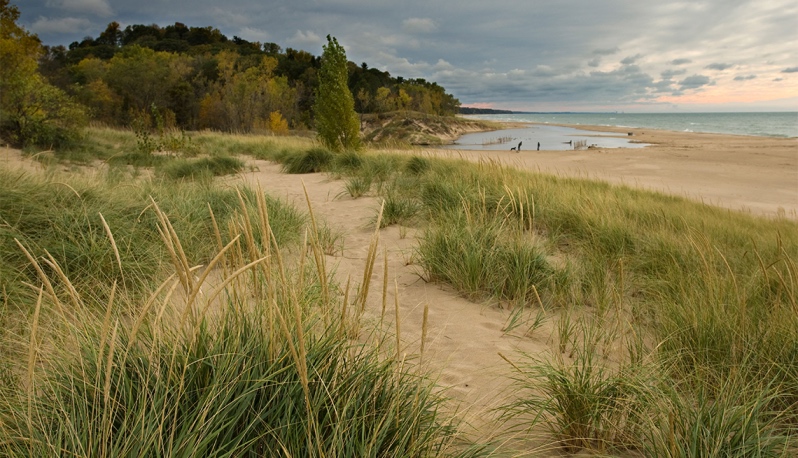 Why Summer in Saugatuck Feels Like a Slice of Heaven