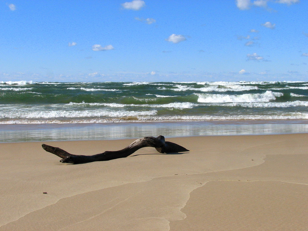 Saugatuck Dunes