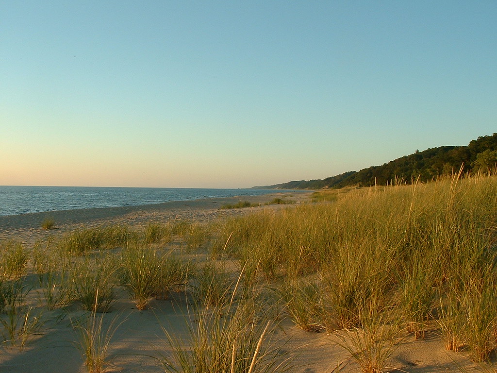 Saugatuck Dunes
