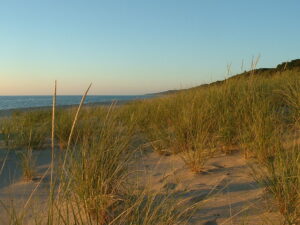 Nature Spots in Saugatuck That Look Straight Out of a Postcard
