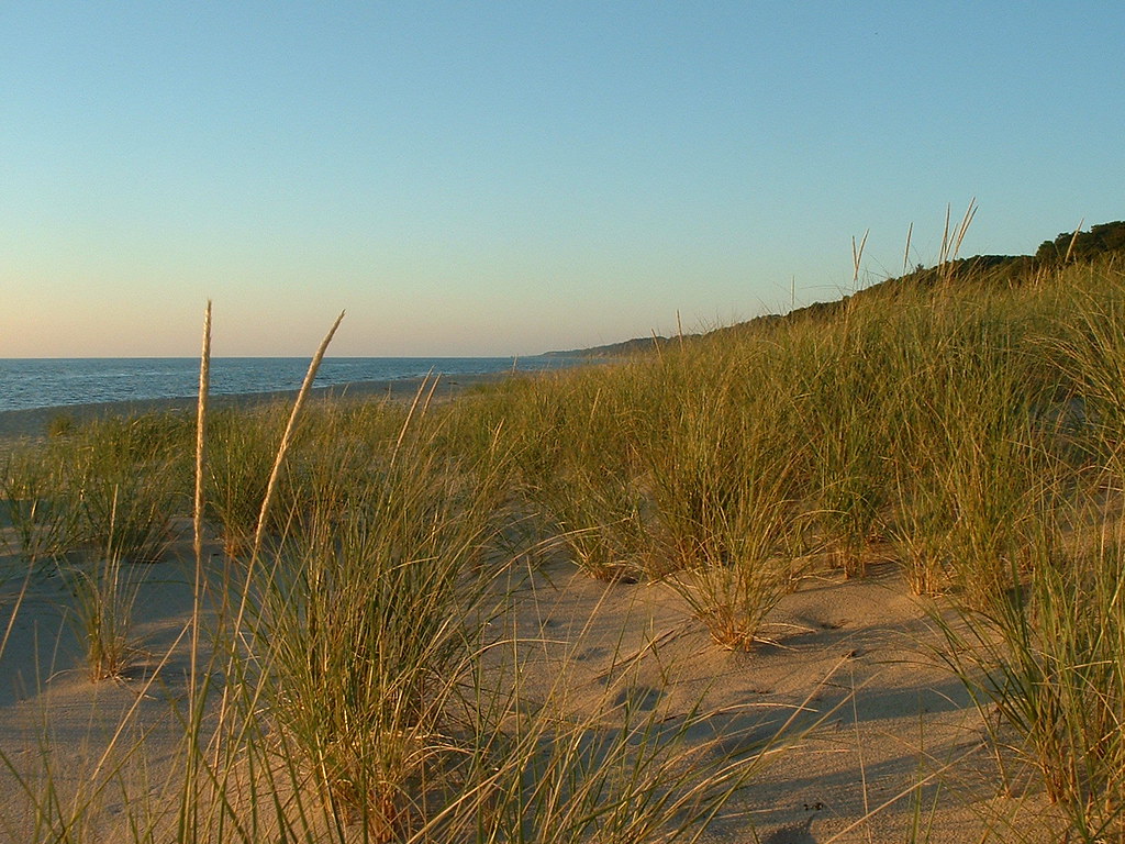 Nature Spots in Saugatuck That Look Straight Out of a Postcard