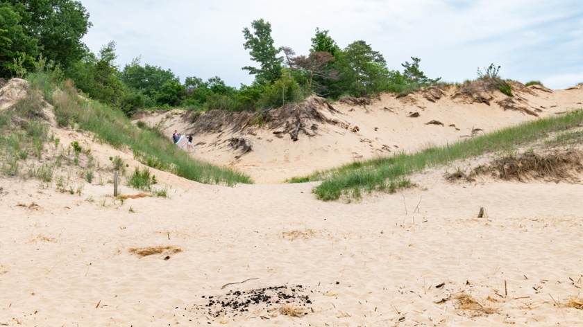 Singapore Dunes Saugatuck