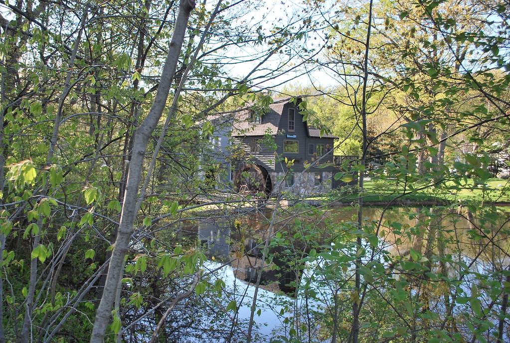 Peterson Nature Preserve Saugatuck