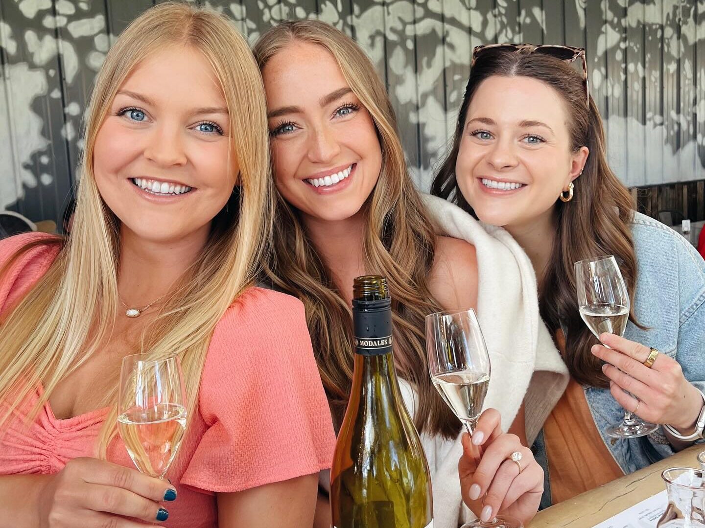 Saugatuck’s Breweries vs Wineries