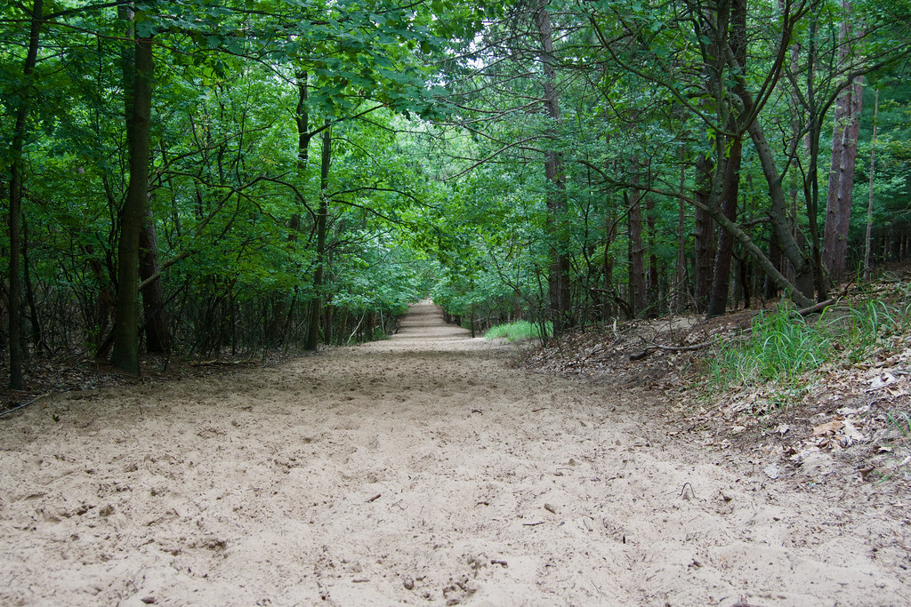 Mount Baldhead Park Saugatuck