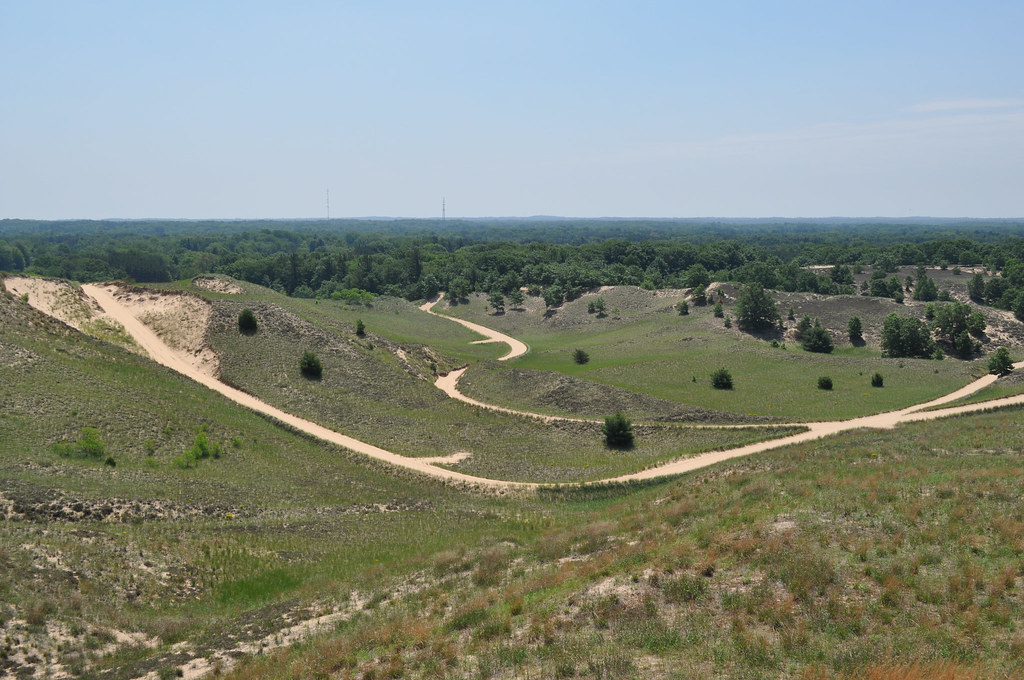 Saugatuck Dune Rides