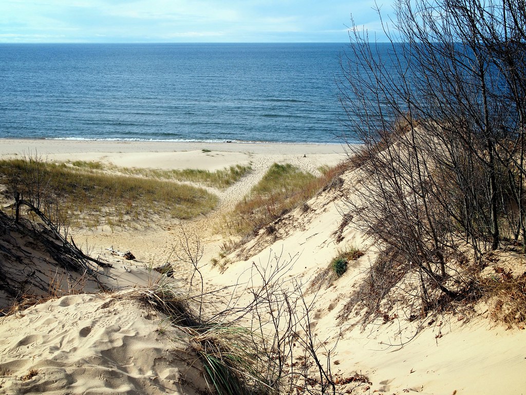 Saugatuck Dunes 