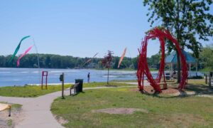 Hidden Picnic Spots in Saugatuck