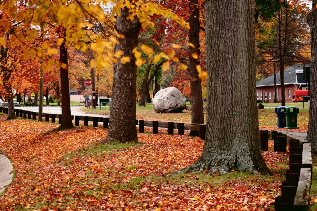 Fall Gallery Stroll Saugatuck