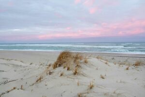 Sunrise Walk on Saugatuck's Quietest Shoreline