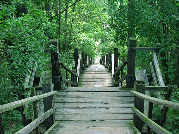 Mount Baldhead Park Saugatuck
