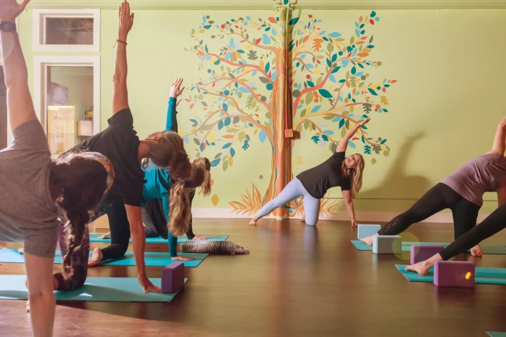 Satya Yoga Saugatuck