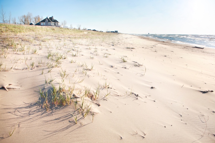 Oval Beach Saugatuck