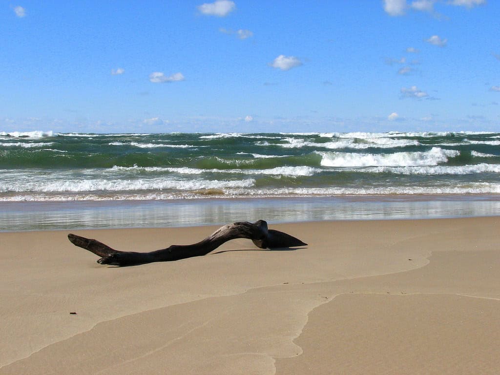 Saugatuck Dunes