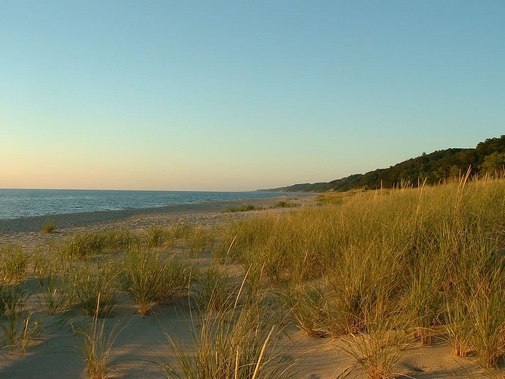 Saugatuck Dunes