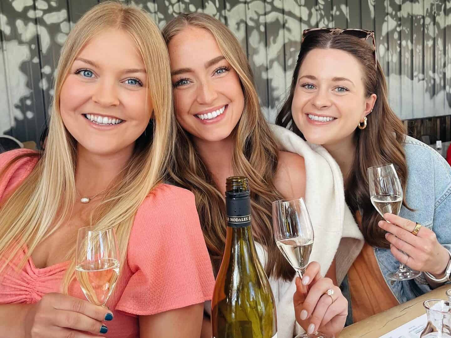 Saugatuck’s Breweries vs Wineries